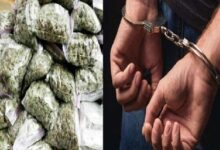 11 06 2021 ganja 21728773