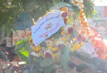 92a48f1a e315 4e57 bd2b 882d357899db