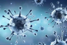 corona in rajasthan 1651037896