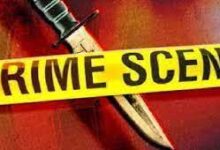 download 2022 12 20T133803.047