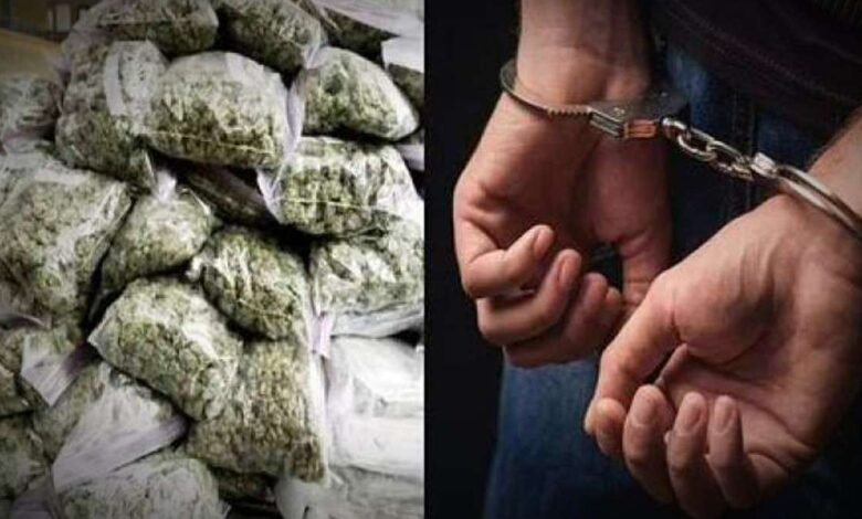 untitled 10 1670574652