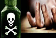 untitled 8 1574403545