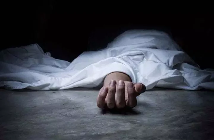 सड़क दुर्घटना में अधेड़ महिला की मौत : अज्ञात वाहन ने मारी टक्कर 1 1754291 16