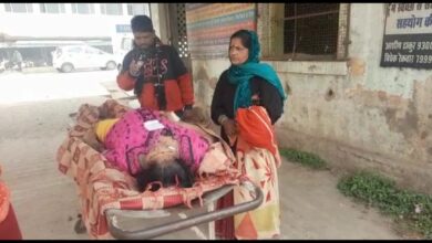 Screenshot 2023 01 03 12 52 27 672 com.whatsapp