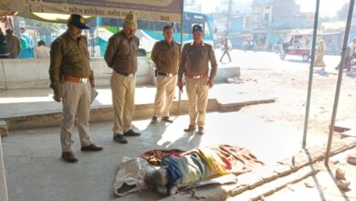 Screenshot 2023 01 09 13 03 42 199 com.whatsapp