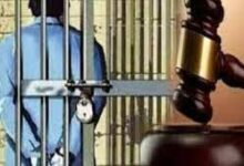 टमाटर तोडऩे पर हत्या करने वाले आरोपी को आजीवन कारावास 16 download