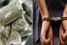 1784333 32009265312267937280483645821068588127340993n