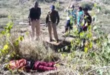 48551c23 26c9 424b a1cc e6044bbcabfc