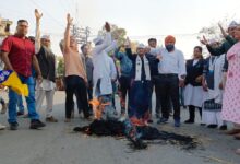 579f0c0b 1774 4690 8675 d413e0232cbe 1