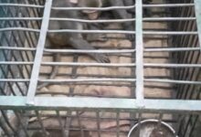 6e05b717 4aa9 412d 850b df5d6d0f06d8