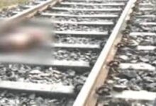 trainsekatkar12040616292376501629237650 1648114150