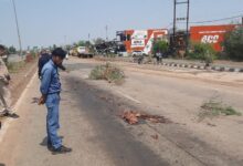 1044199e b1d5 45b5 b582 dccc97d48fbf