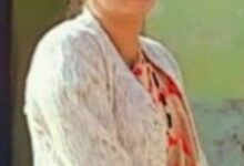 11bd53e7 b45e 4957 89bc 7e5e010fce45