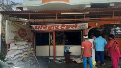 1769de6d 03f2 4fd4 9333 c7bf897af6ad