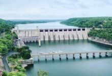 1848dbfa 6d58 4052 a6ca 3e8c42a41fc3