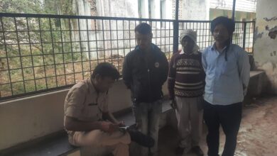 624f9e56 436c 4073 82e7 65a27a299727