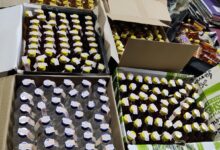 8f56491b 57a7 41b1 b3b4 2b5968eee394