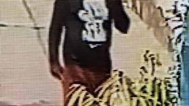 मेडिकल के प्रभारी डीन के ड्राइवर की सायकिल चोरी : कैमरे में कैद हुआ चोर 9 9c8d26f0 dc89 4b25 a314 6984889e2a49