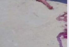 शराब पीने को लेकर पति-पत्नी का हुआ विवाद:शराबी पति ने कुल्हाड़ी मारकर पत्नी को उतारा मौत के घाट, बेटी को भी किया घायल 12 Untitled 1 copy