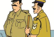 WEB 7 1548408048 1548408048