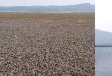 a044cc31 ec6e 40a5 a9ad cbeeeac8c60b