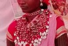 साहब... मोटे अनाज की प्राकृतिक खेती करते हैं तो वन विभाग वाले बहुत मारते हैं! 10 c35d48c7 1913 46a8 b241 e6c3773084f7