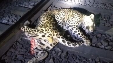 cafc4c0a fdca 4a5e 8cba 29f368c7609d