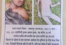 cfa99f1d d562 44a7 b97a cfa6f0029989