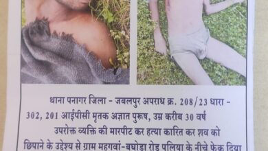 cfa99f1d d562 44a7 b97a cfa6f0029989