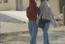 1f408929 7dc3 4a58 abf1 1beebe136c6f