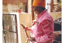 किचिन में घुसा हुआ था मॉनिटर लिजर्ड :रेस्क्यू कर विलुप्त हो रही गोह को जंगल में छोड़ा गया 10 22