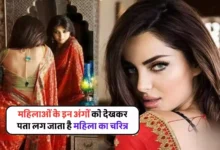 4e968c4c532729d7a6215bd4487be254