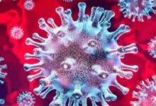 65c7d3ca 5530 4e58 8771 7c0786d91b8f