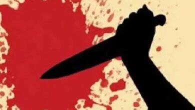 768 512 17606393 thumbnail 3x2 chaku