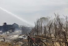 af06d482 8e20 48d3 8b73 fb8aad7b9656