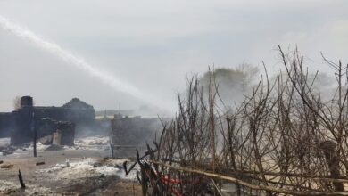 af06d482 8e20 48d3 8b73 fb8aad7b9656