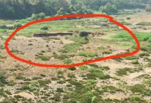 c5800ca0 4956 49a4 b01b dc42e9a3721c