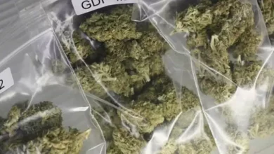 ganja smuggling 1656903786