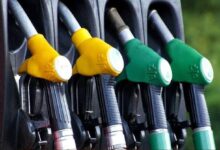 images 2023 04 13T072433.904