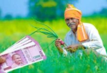 इन किसानों के खाते में आएगी 14वी किस्त,जानिए कैसे चेक करें लिस्ट में अपना नाम,देखे डिटेल्स 15 images 2023 04 16T114339.506