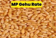 images 2023 04 17T090514.133