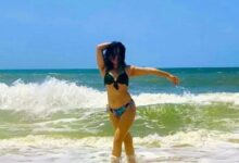 images 2023 04 17T113729.940