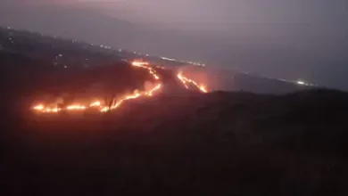 img 20230417 wa0088 1681783561 1