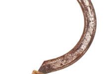 istockphoto 1138592009 612x612 1