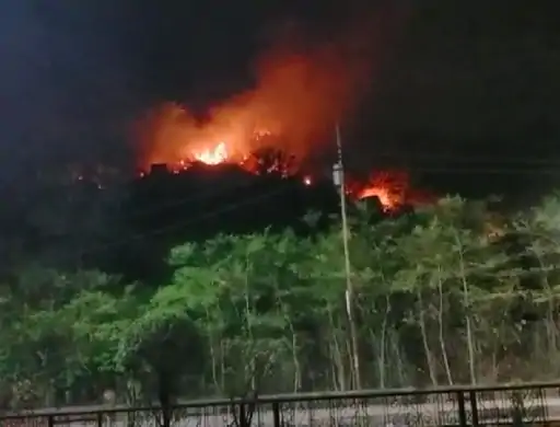 देवताल पहाड़ी में लगी आग : कई किलोमीटर में फैली , शरारती तत्व ने पहाड़ी में लगा दी आग 1 new project 31 1681238723
