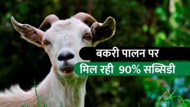 सब्सिडी 1024x640 1