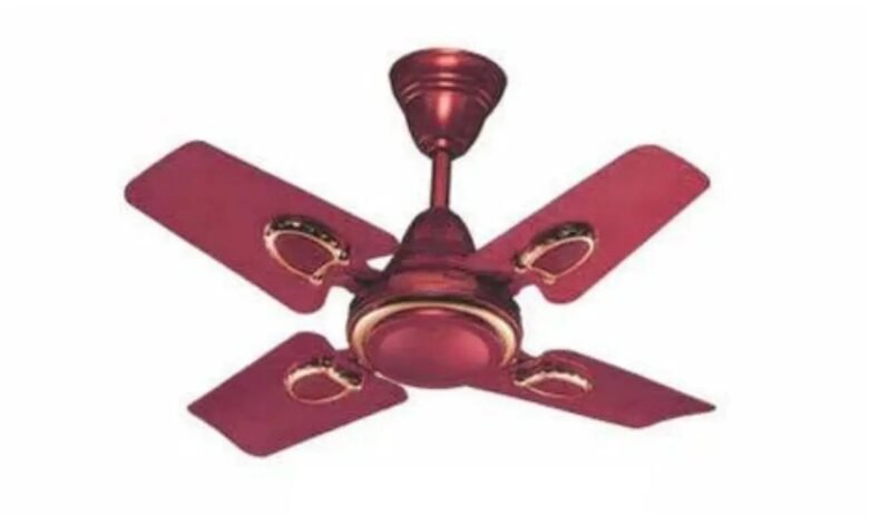 Bajaj Summer Fan अब घर ले आएं बजाज का समर फैन, उमस भरी गर्मी से पाए छूटकरा जानिए इसके प्राइस 1 Bajaj Summer Fan अब घर ले आएं बजाज का समर फैन, उमस भरी गर्मी से पाए छूटकरा जानिए इसके प्राइस