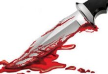 09 07 2021 knife 21814187 74043