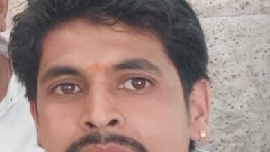 343eb039 66d8 4f1d a41d 4938829203d9