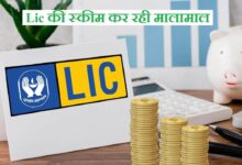 39a6a658 253a 4226 bd22 7ff7cb29c815